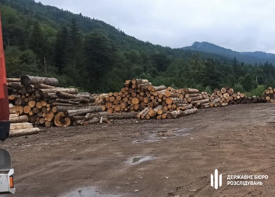 Екскерівник Путильського лісового господарства обвинувачується у перевищенні службових повноважень, що спричинили тяжкі наслідки