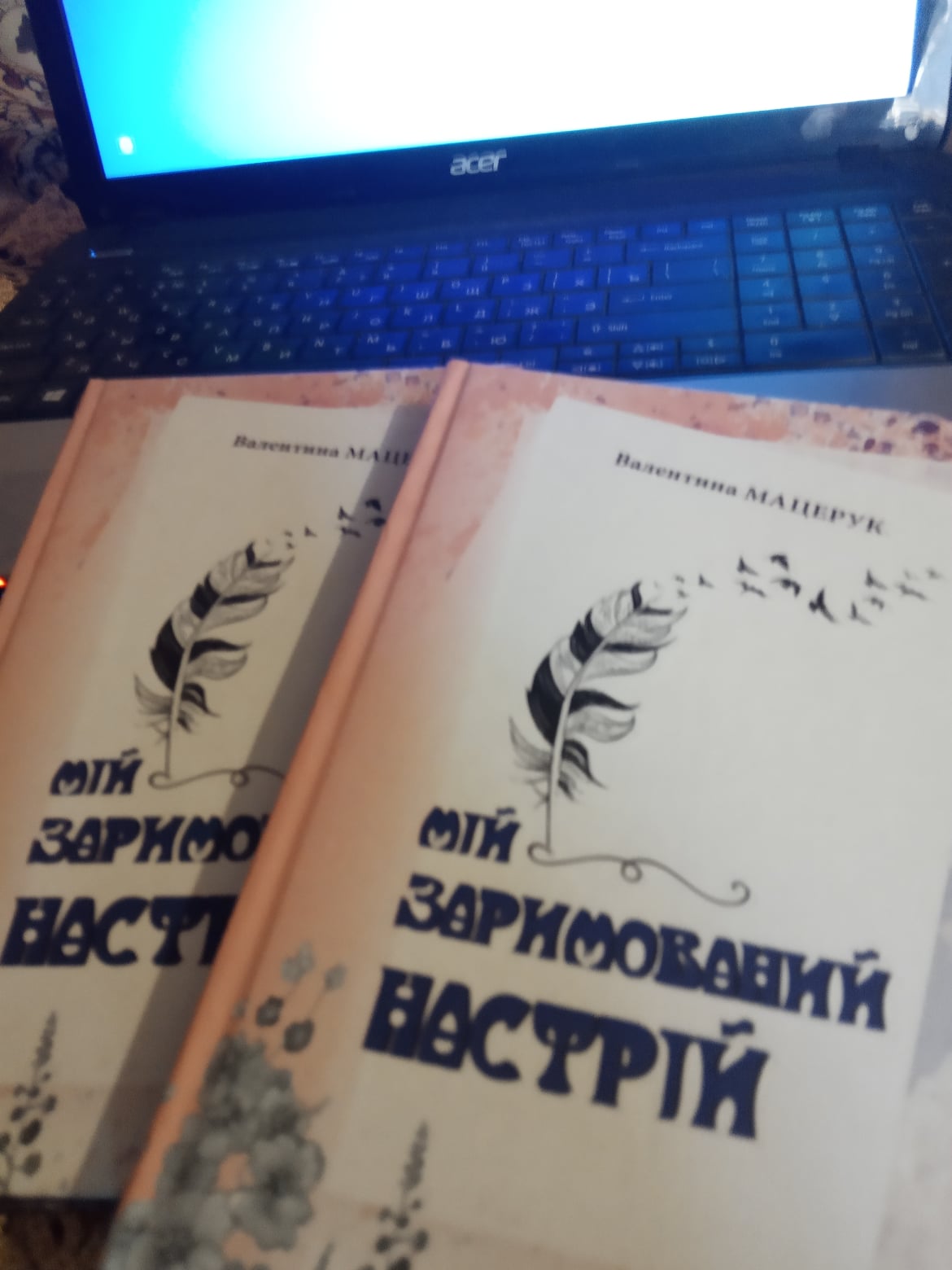 'Заримований настрій': побачила світ поетична збірка журналістки Валентини Мацерук