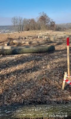 У поліції помітили незаконне вирубування дерев біля Дністра