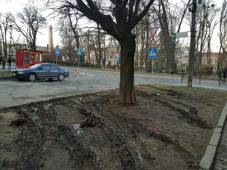 У центральній частині Чернівців під час масових заходів автомобілісти знищують зелені зони