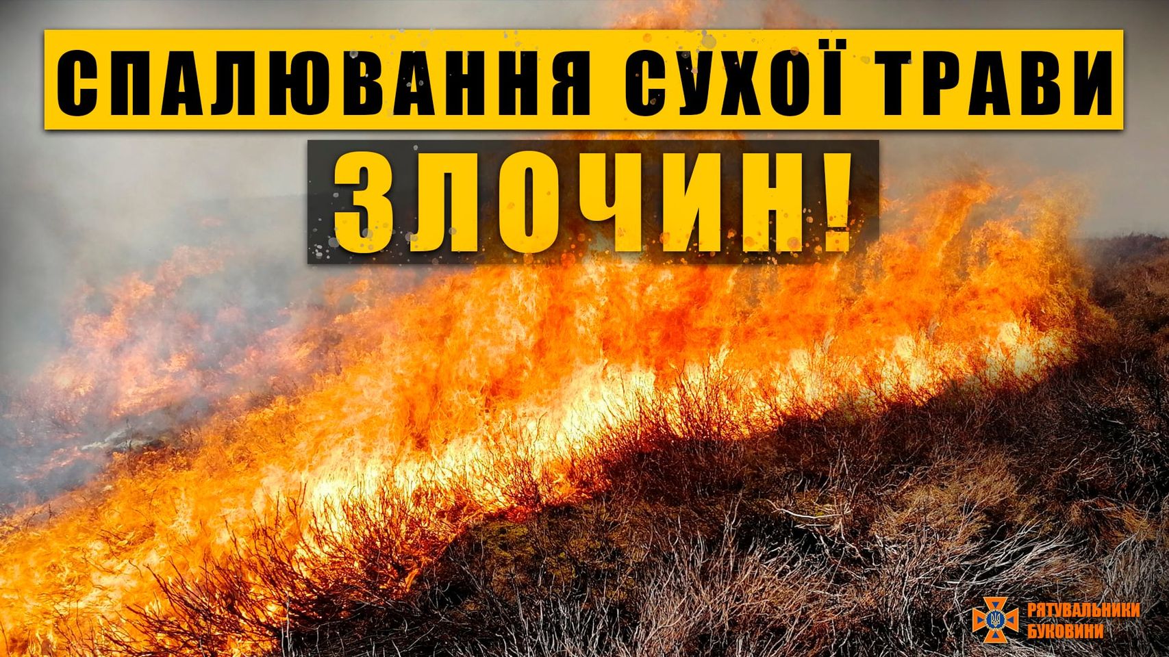 У Чернівецькій області зафіксовано вже 788 випадків пожеж сухої трави