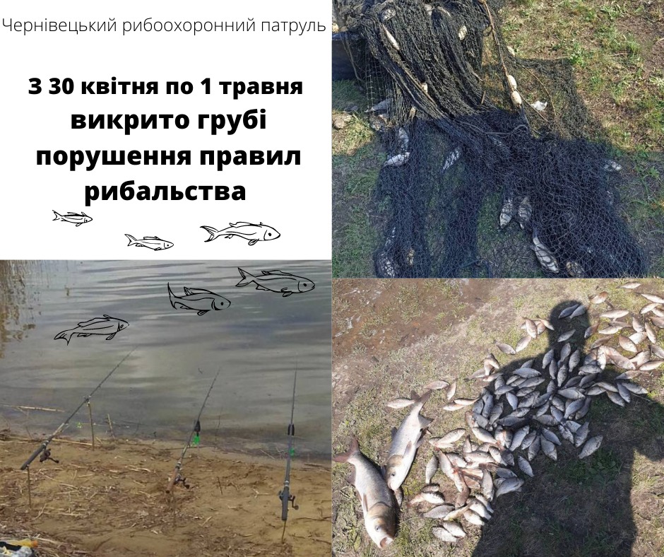 На відкритих водоймах Буковини у період нерестої заборони на вилов риби продовжують ловити браконьєрів 