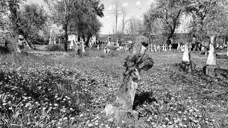 'Товтрівчани, за давньою традицією, йшли на цвинтар': буковинська воєнна бувальщина з весни 1942 року про батька Посла 