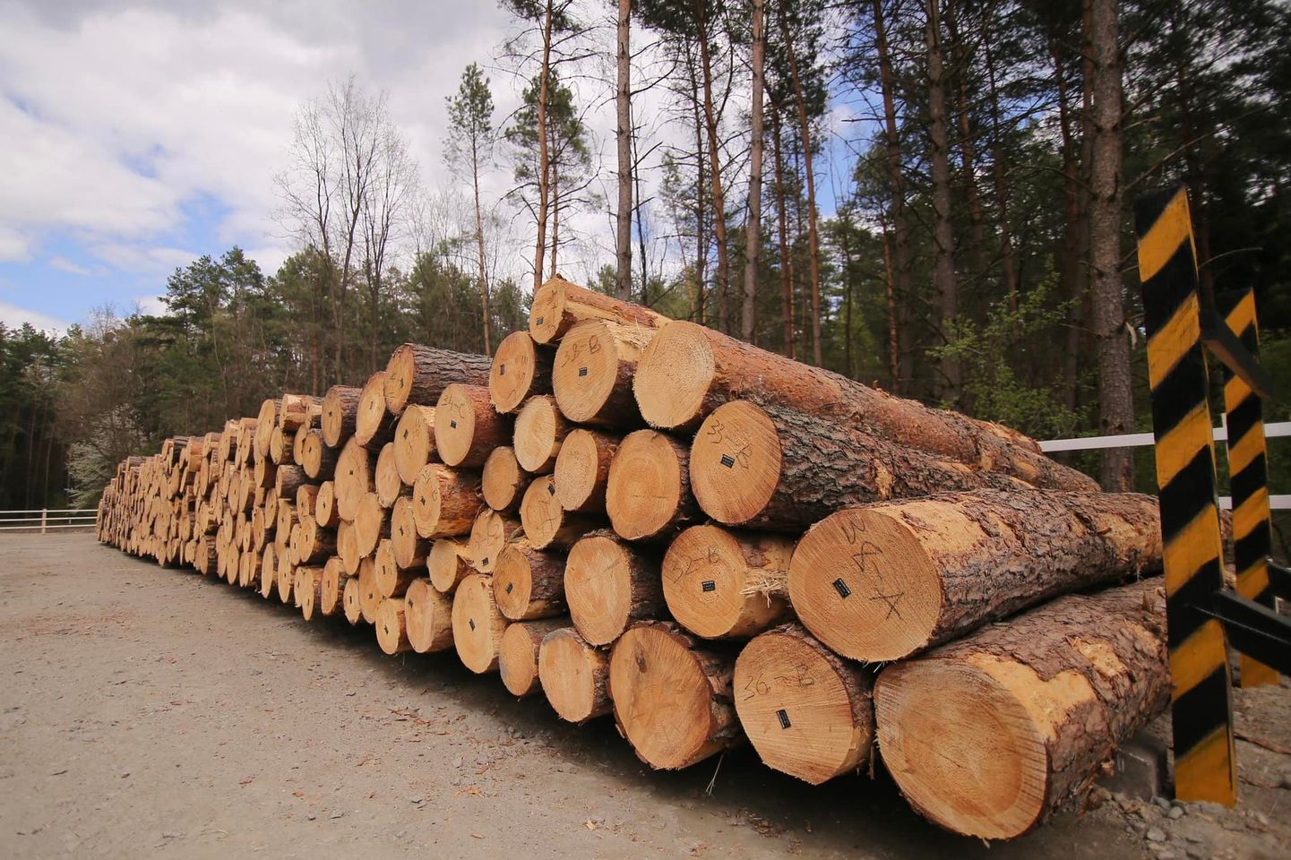 На буковинських лісопереробників чекають тільки прозорі ринкові аукціони як необробленою, так і обробленою деревиною