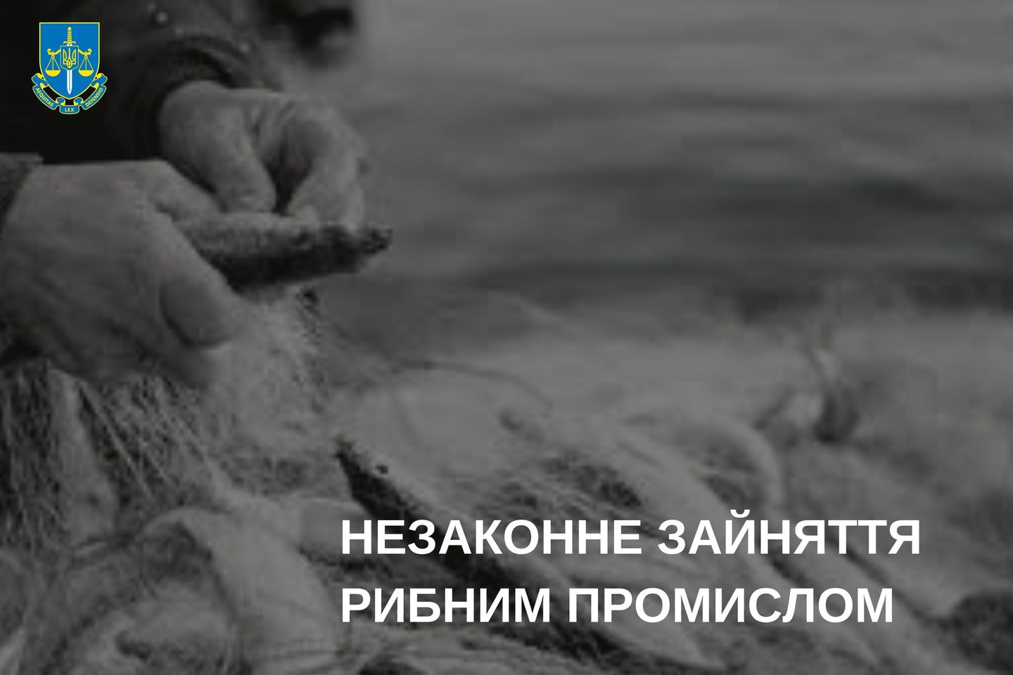 У Чернівецькій області браконьєр незаконно виловив сіткою майже 200 рибин на понад 300 тис. грн 