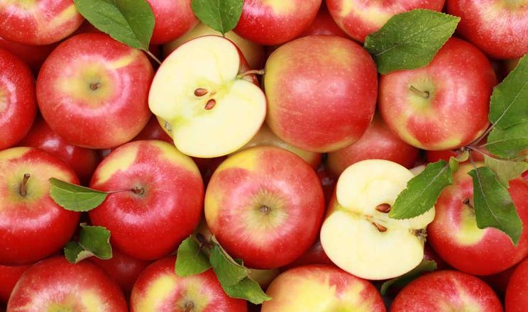 Садовод із Чернівеччини назвав найпрактичніший сорт яблук для експорту