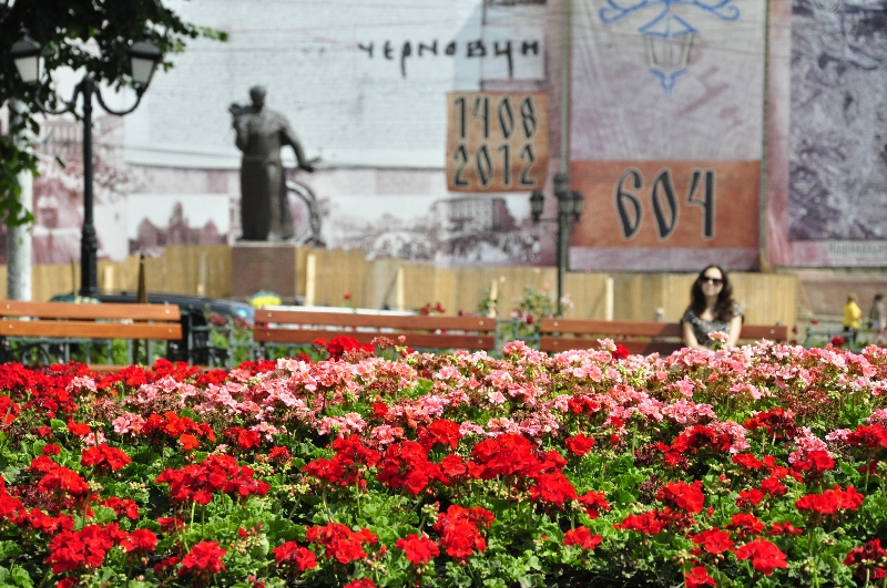 Від початку року у Чернівцях висаджено понад 50 тисяч квітів 
