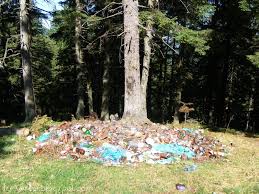У Чернівцях чекають на фотографії «День Незалежності: в гори без сміття!»