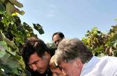 Ющенко поїхав до свого грузинського кума збирати виноград 