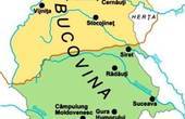 День приєднання історичної Буковини до Румунії сусіди оголосили державним святом