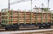 З України заборонили вивозити ліс 