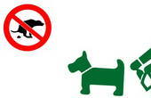 Чернівчан просять прибирати собачі екскременти у поліетиленові пакетики