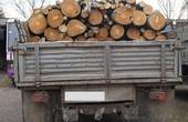 На Путильщині затримали вантажівку з деревиною
