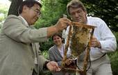 Третій номер у списку українських антигероїв Віктор Ющенко очолив українських бджолярів у Польщі