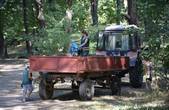 Працівники тресту зеленого господарства випередили активістку Яну Білецьку  у парку Шіллера