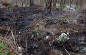 Комунальників, які влаштували пожежу на кладовищі у Чернівцях, оштрафують