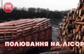 Активісти з Чернівців викрили вражаючі масштаби нищення лісів Карпат (ВІДЕО)