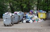 Через борги депутата міськради від 'Рідного міста' Тихоновича мікрорайон у Чернівцях потонув у смітті (ФОТО)