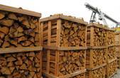 У 2015-2016 рр. 914 буковинців-учасників АТО отримали пільгові паливні дрова
