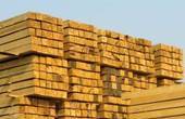 Буковинські підприємства зменшили обсяги заготівлі деревини