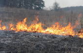 У Чернівецькій області оголошено про надзвичайну пожежну небезпеку
