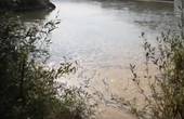На березі Прута знайшли колектор, стічні води з якого, ймовірно, витікають у річку