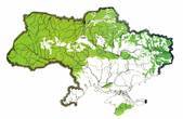 Австрія та Німеччина допоможуть Україні 'порахувати' ліси