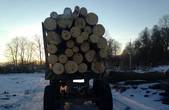 На Буковині затримали вантажівку, яка незаконно перевозила деревину