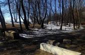 Поки чернівчани чубляться через Реформацію, чиновники дерибанять землі парку 'Жовтневий'