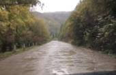 Дороги, що забезпечують сполучення з гірськими районами Буковини, після катастрофічних повеней 2008 і 2010 років  відновлені лише на 20-30%