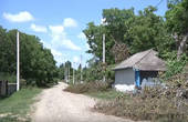В Чернівецькій області працівники РЕМу зрізали дерева замість того, аби почистити (відео)