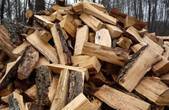 З Буковини експортують переважно дрова, - лісівники