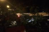 Раптова буря у Чернівцях повалила дерева і побила автівки: мер і поліція закликали чернівчан стерегтися і не виходити з дому  (ФОТО)