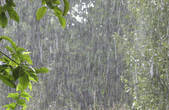 У Чернівцях відтворять шокуючий обряд викликання дощу 