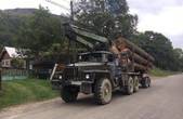 На Буковині СБУ затримала вантажівку з незаконно вирубаною деревиною