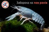 З 10 грудня на Буковині заборонено ловити раків – Чернівецький рибоохоронний патруль