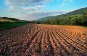 На Буковині фермерське господарство самовільно захопило земельну ділянку