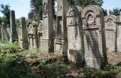Історичне кладовище не матиме ні адміністративного, ні виробничих приміщень, бо депутати викреслили об'єкт з програми 'Комфортне місто'