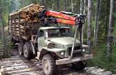 На Путильщині правоохоронці знову викрила факт незаконного перевезення лісодеревини