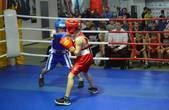 В Чернівцях відбувся ІІІ Міжнародний турнір з боксу на Кубок Погодіних 