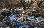 Сміття, кругом сміття… Чернівецька область потопає у смітті