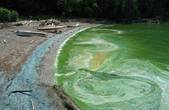 Миючі засоби та недостатня очистка стічних вод  збільшують концентрацію фосфатів у річках 
