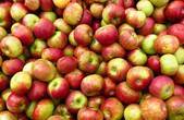 Експорт з Польщі стримає подальший ріст цін на яблука в Україні
