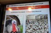 Чернівецька область перша в Україні з виробництва м'яса індика та вирощування форелі 