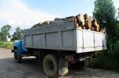 На Сторожинеччині поліцейські вилучили вантажівку з нелегальною деревиною