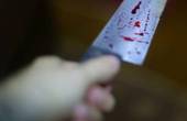 На Герцаївщині жінка під час сварки поранила ножем свого співмешканця
