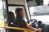 На Буковині водій рейсового автобуса збив дитину: ні водій, ні пасажири не надали допомогу дівчинці - фото