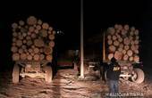 На Путильщині вилучили два лісовоза з деревиною без документів