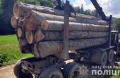 У Берегометі зі складу перевозили деревину на лісовозі без документів 
