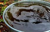 На випускному вечорі буковинець облив брудною водою з відра викладачку одного із навчальних закладів (ВІДЕО)